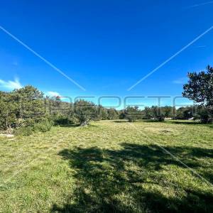 Poljoprivredno zemljište s pogledom na more, Tisno, 5108 m2 