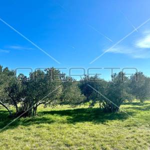 Poljoprivredno zemljište s pogledom na more, Tisno, 5108 m2 