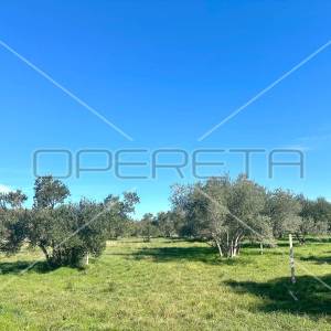 Poljoprivredno zemljište s pogledom na more, Tisno, 5108 m2 
