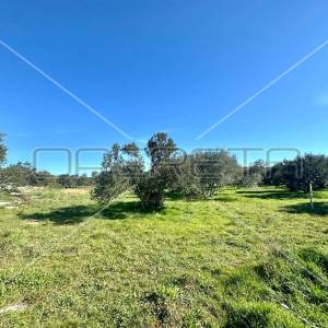 Poljoprivredno zemljište s pogledom na more, Tisno, 5108 m2 
