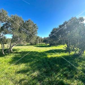 Poljoprivredno zemljište s pogledom na more, Tisno, 5108 m2 