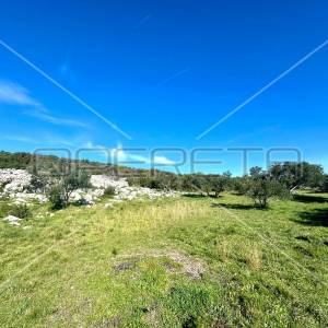 Poljoprivredno zemljište s pogledom na more, Tisno, 5108 m2 