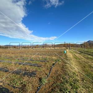Poljoprivredno zemljište uz obalu rijeke Kosovčice, 96040 m2