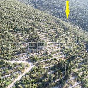Poljoprivredno zemljište s potencijalom – 9435 m² u srcu prirode