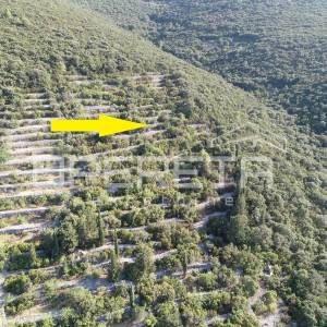 Poljoprivredno zemljište s potencijalom – 9435 m² u srcu prirode