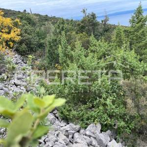 Poljoprivredno zemljište s potencijalom – 9435 m² u srcu prirode