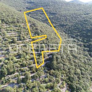 Poljoprivredno zemljište s potencijalom – 9435 m² u srcu prirode