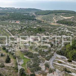 Poljoprivredno zemljište od 14,049 m2, na otoku  Braču – Idealna prilika za inve