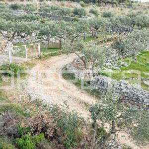 Poljoprivredno zemljište od 14,049 m2, na otoku  Braču – Idealna prilika za inve