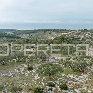 Poljoprivredno zemljište od 14,049 m2, na otoku  Braču – Idealna prilika za inve