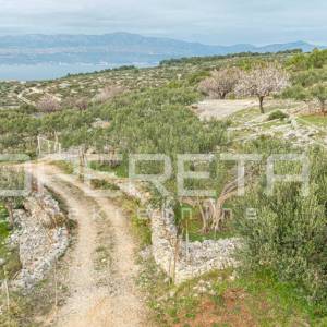 Poljoprivredno zemljište od 14,049 m2, na otoku  Braču – Idealna prilika za inve