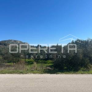 Poljoprivredno zemljište s 18 maslina – 1563 m², Šibenik (Kvanj)
