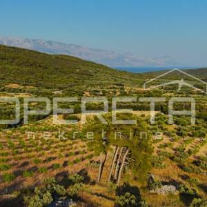 Poljoprivredno zemljište s 500 badema i pogledom na more, Brač