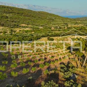 Poljoprivredno zemljište s 500 badema i pogledom na more, Brač
