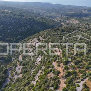 Poljoprivredno zemljište u srce otoka, 29.000m2, Škrip, Brač


