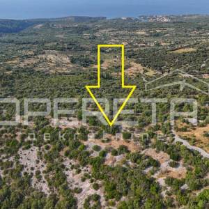 Poljoprivredno zemljište u srce otoka, 29.000m2, Škrip, Brač

