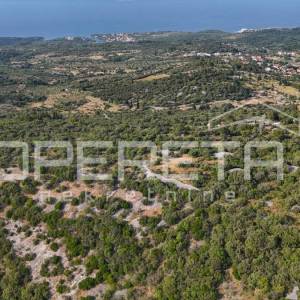 Poljoprivredno zemljište u srce otoka, 29.000m2, Škrip, Brač

