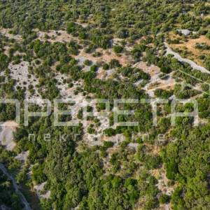Poljoprivredno zemljište u srce otoka, 29.000m2, Škrip, Brač

