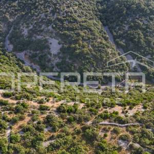 Poljoprivredno zemljište u srce otoka, 29.000m2, Škrip, Brač

