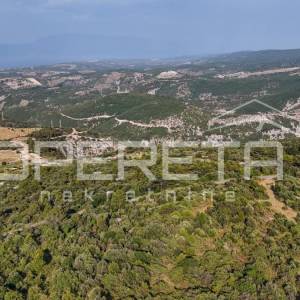 Poljoprivredno zemljište u srce otoka, 29.000m2, Škrip, Brač

