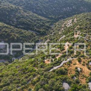 Poljoprivredno zemljište u srce otoka, 29.000m2, Škrip, Brač

