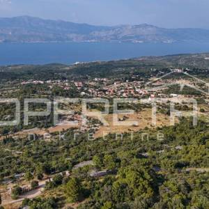 Poljoprivredno zemljište u srce otoka, 29.000m2, Škrip, Brač

