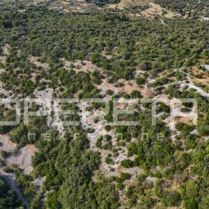 Poljoprivredno zemljište u srce otoka, 29.000m2, Škrip, Brač

