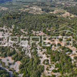 Poljoprivredno zemljište u srce otoka, 29.000m2, Škrip, Brač


