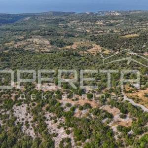 Poljoprivredno zemljište u srce otoka, 29.000m2, Škrip, Brač

