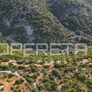 Poljoprivredno zemljište u srce otoka, 29.000m2, Škrip, Brač

