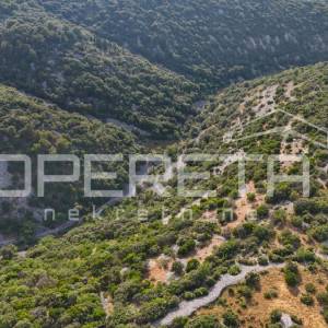 Poljoprivredno zemljište u srce otoka, 29.000m2, Škrip, Brač

