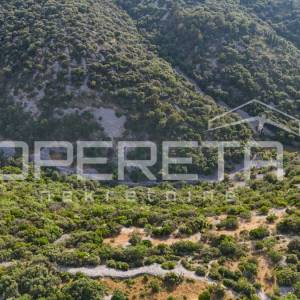 Poljoprivredno zemljište u srce otoka, 29.000m2, Škrip, Brač

