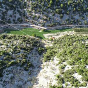 Poljoprivredno zemljište, 4.834 m2, Splitska, Brač