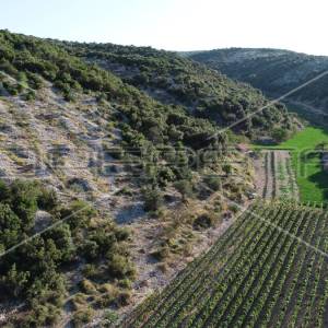 Poljoprivredno zemljište, 4.834 m2, Splitska, Brač