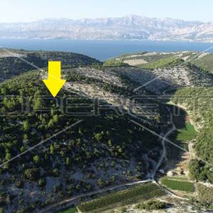 Poljoprivredno zemljište, 4.834 m2, Splitska, Brač