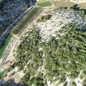 Poljoprivredno zemljište, 4.834 m2, Splitska, Brač