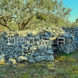 Poljoprivredno zemljište, 4.834 m2, Splitska, Brač
