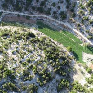 Poljoprivredno zemljište, 4.834 m2, Splitska, Brač