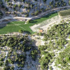 Poljoprivredno zemljište, 4.834 m2, Splitska, Brač
