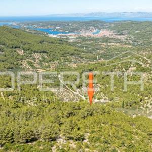 Poljoprivredno zemljište,8956m2, u prirodnom okruženju – Vela Luka