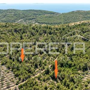 Poljoprivredno zemljište,8956m2, u prirodnom okruženju – Vela Luka