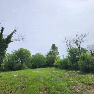 POREČ - Prodaje se građevinsko zemljište, 12000m2