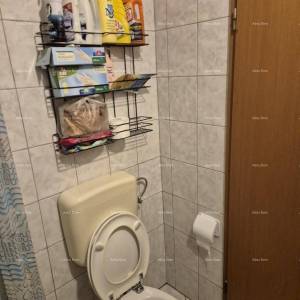 Premantura – 3 apartmana s dvorištem  blizu mora!Garaža!