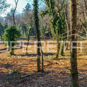 Prišlinova, Vrapče, 3.830,00 m2, 766.001,00 EUR