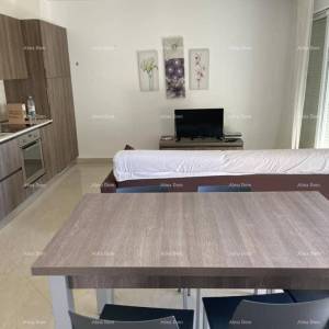 Prodaja dvoetažnog stana s pogledom na more i zajedničkim bazenom, Novigrad.