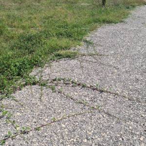 Prodaja- građevinska zemljišta s projektom, Loborika!