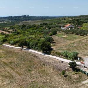 Prodaja građevinskih parcela sa pogledom na more, za izgradnju stambenih objekata, Buje!