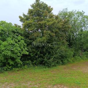 Prodaja, Građevinsko zemljište 3000m2, Potravlje