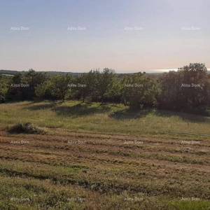 Prodaja građevinskog zemljišta. Vižinada.