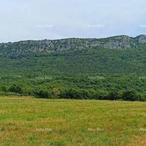 Prodaja građevinskog zemljišta, površine od 1374 m2, Buzet!